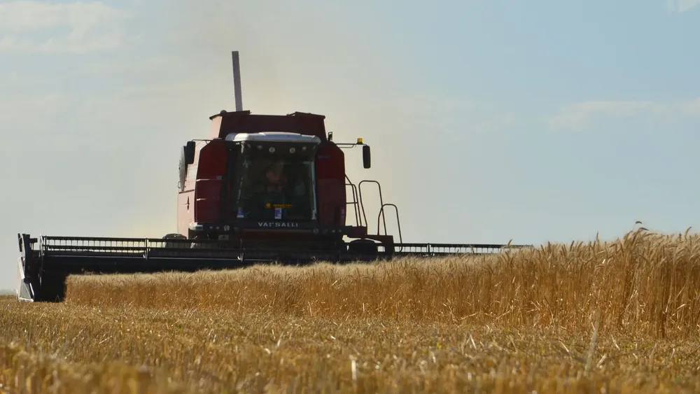 Diseño sin título (1)