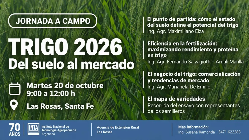 Placa - WEB (1)