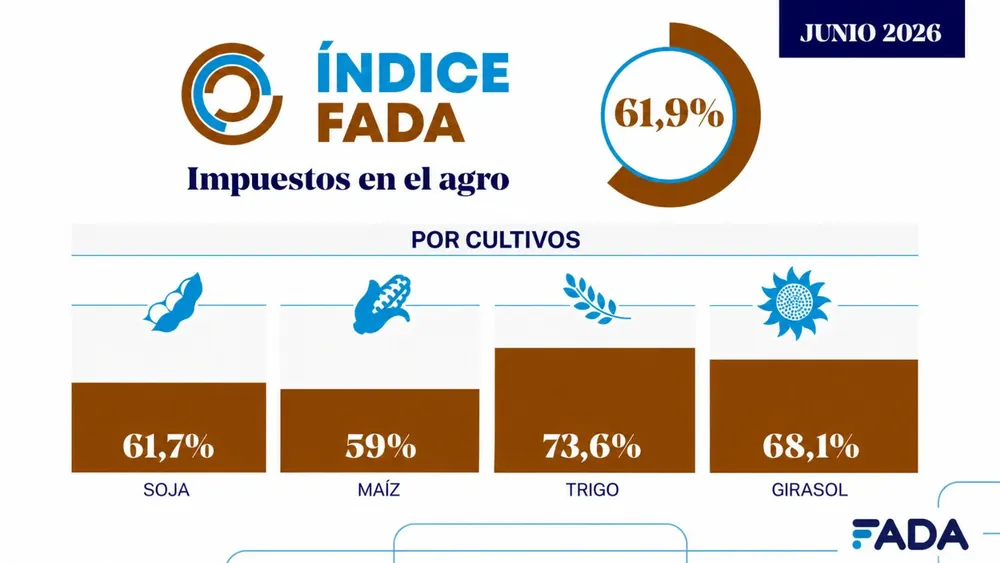 Placa - WEB (1)