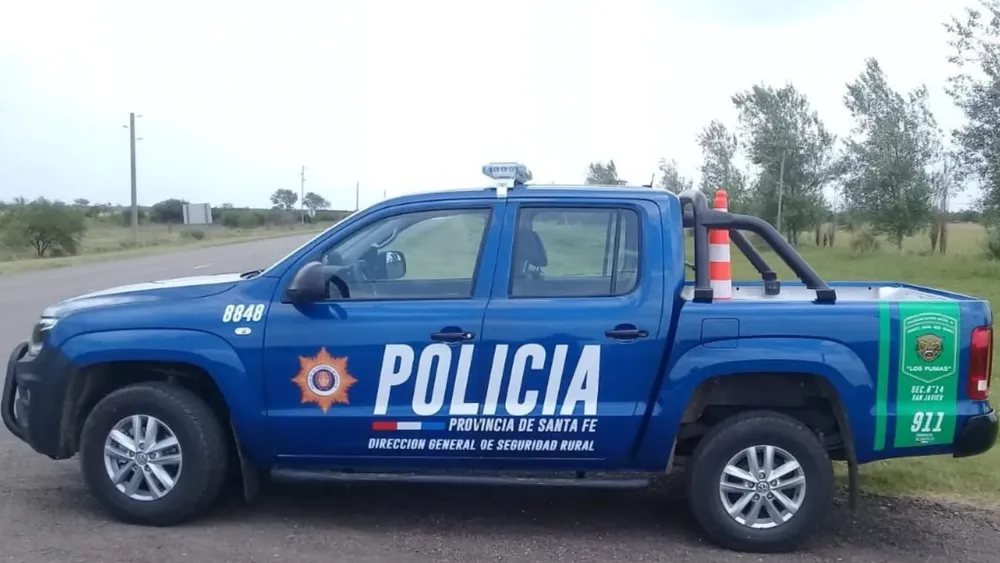Placa - WEB