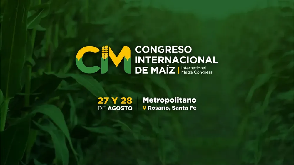 Imagen WEB