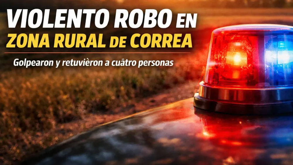 Placa - WEB