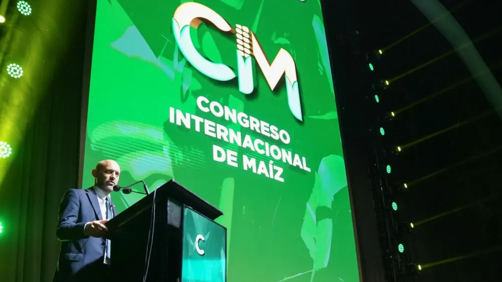 Imagen WEB