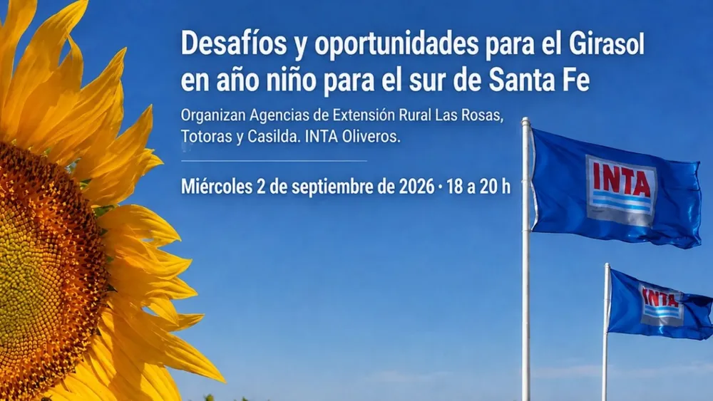 Placa - WEB (1)